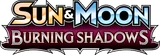 Burning Shadows logo
